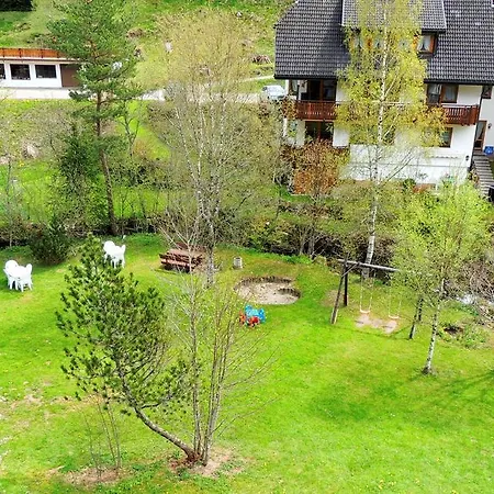 A2-studio-fuer-2-personen-haus-albmatte-menzenschwand Sankt Blasien