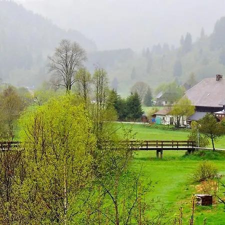 A2-studio-fuer-2-personen-haus-albmatte-menzenschwand