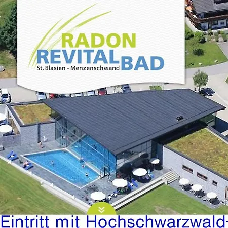 A2-studio-fuer-2-personen-haus-albmatte-menzenschwand Lägenhet
